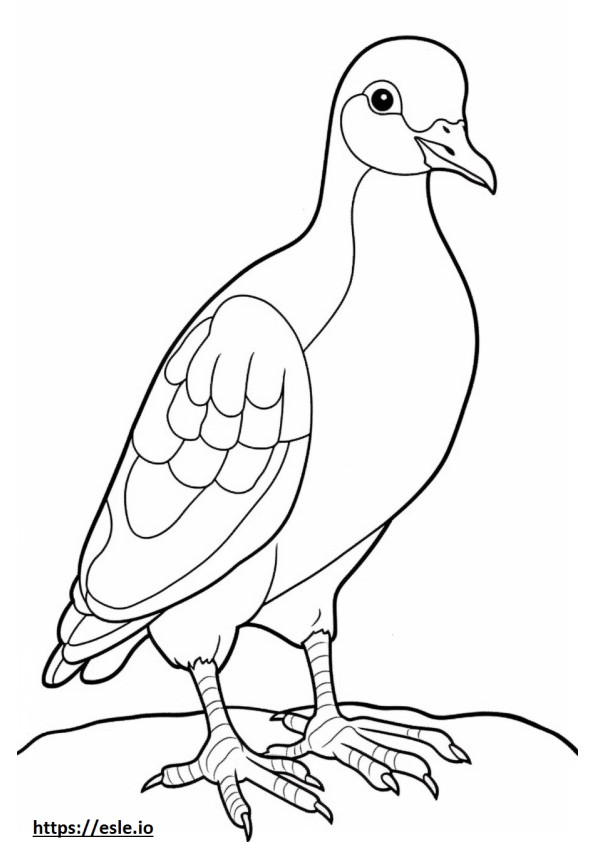 Pink-Necked Green Pigeon cartoon coloring page