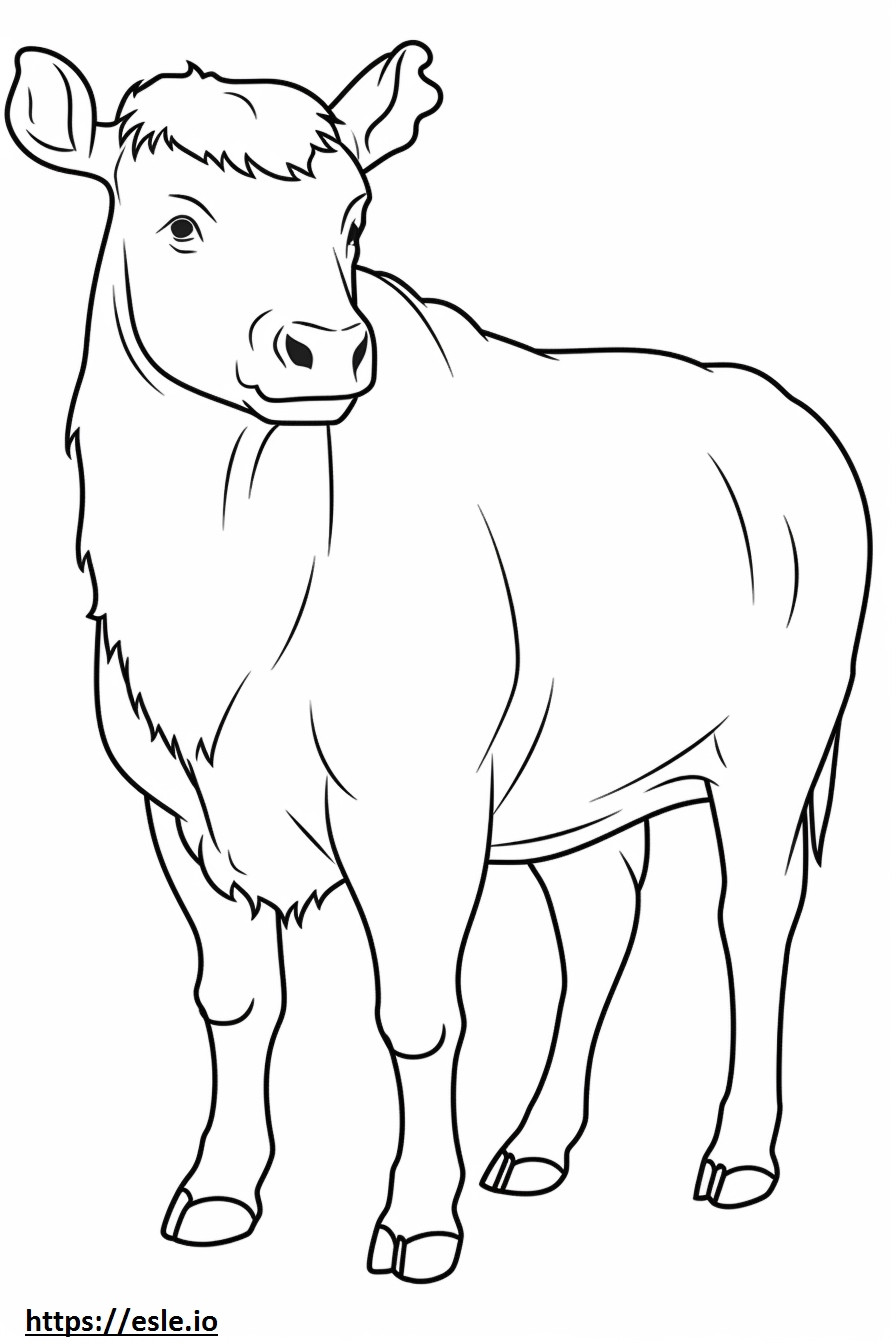 Desenho de gado das montanhas para colorir