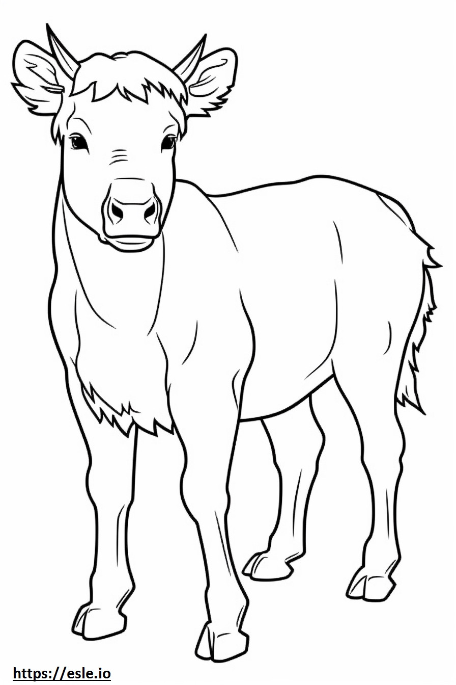 Yayla sığır karikatür boyama