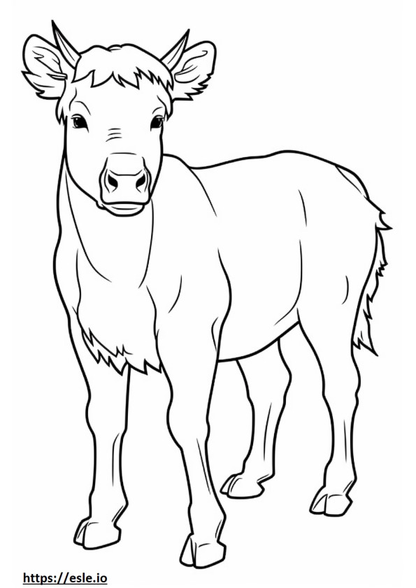 ハイランド牛の漫画 ぬりえ - 塗り絵