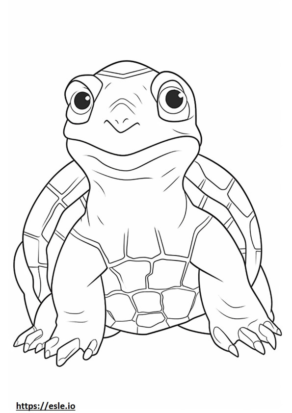 Box Turtle Kawaii coloring page