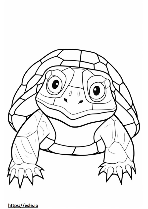 Dosenschildkröte Kawaii ausmalbild
