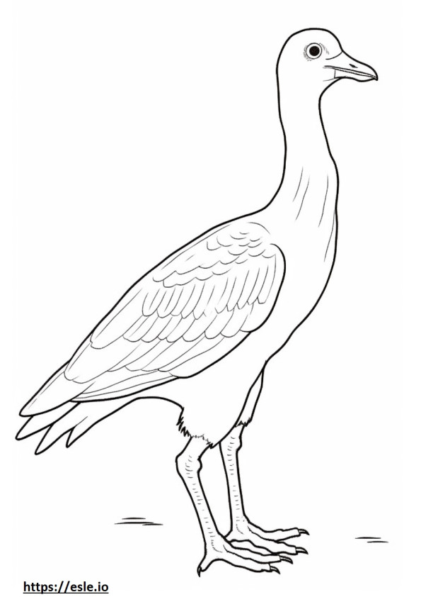 Egyptian Goose Playing coloring page