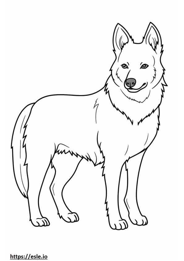 Vallhund sueco de corpo inteiro para colorir
