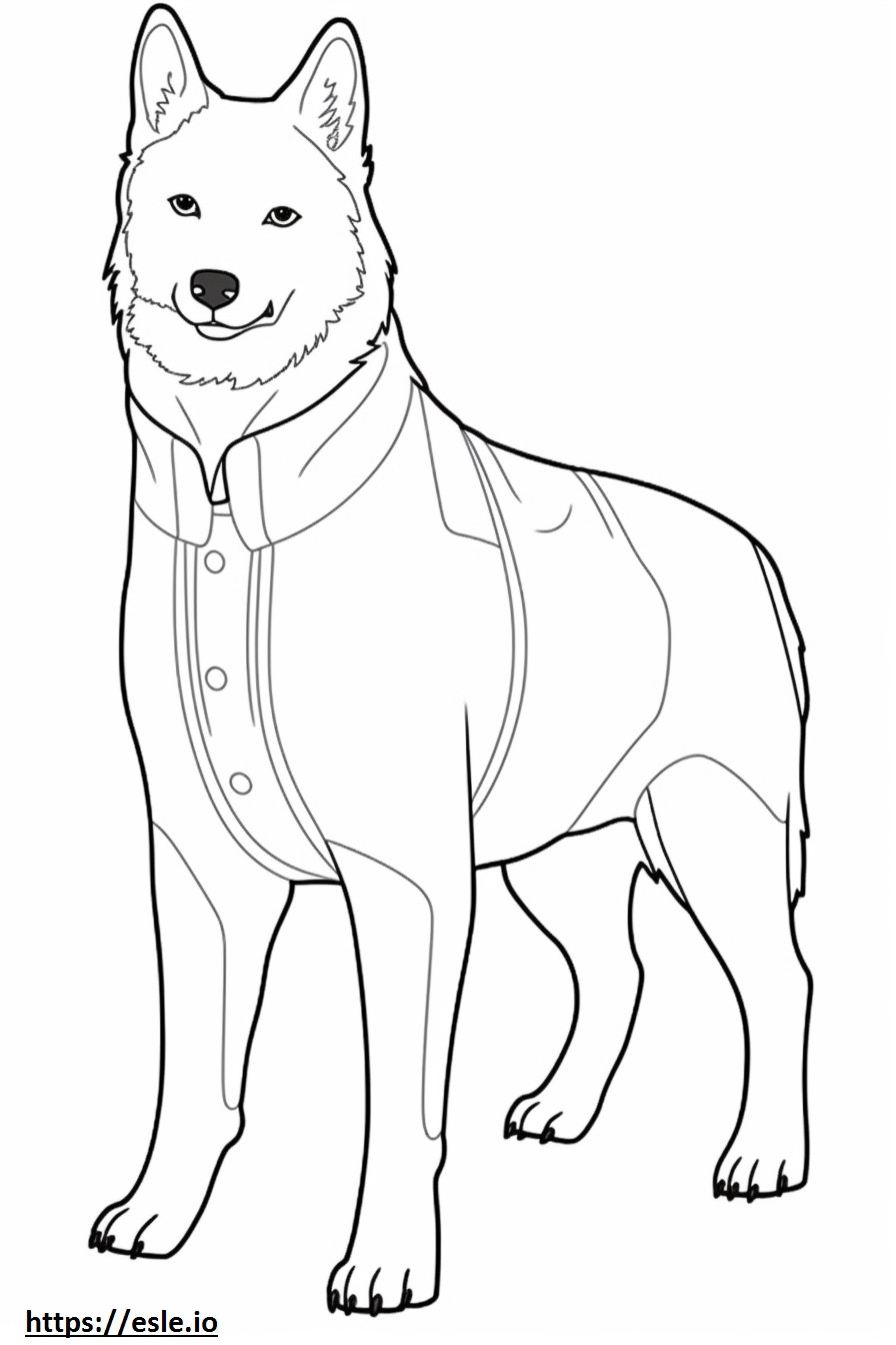 Zweedse Vallhund volledig lichaam kleurplaat kleurplaat