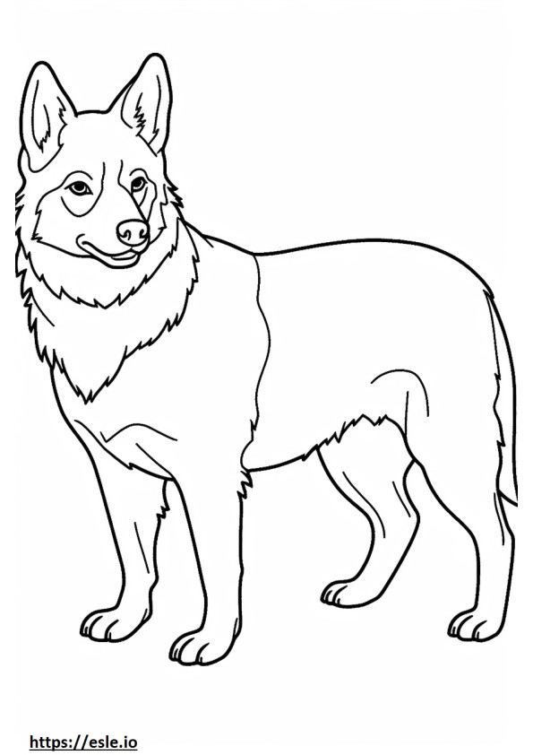 Zweedse Vallhund volledig lichaam kleurplaat
