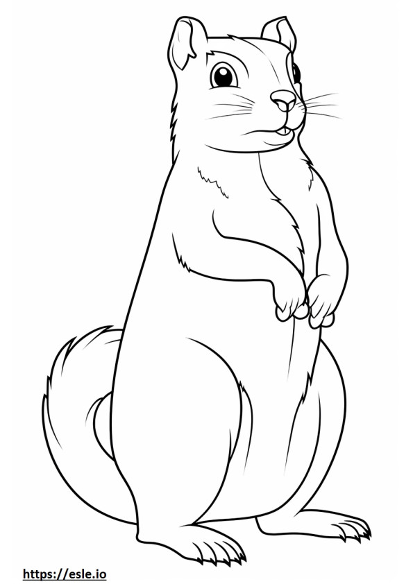 Chipmunk full body coloring page