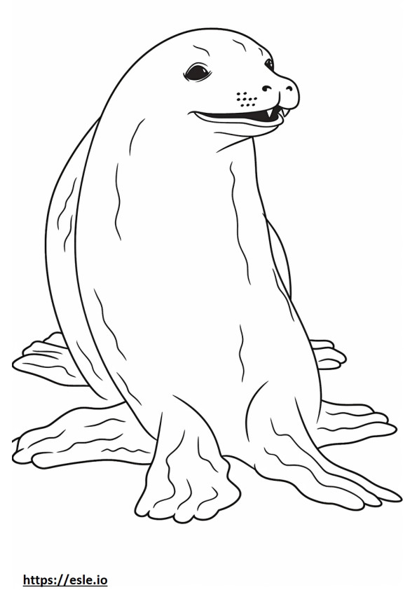 Desenho de foca-leopardo para colorir