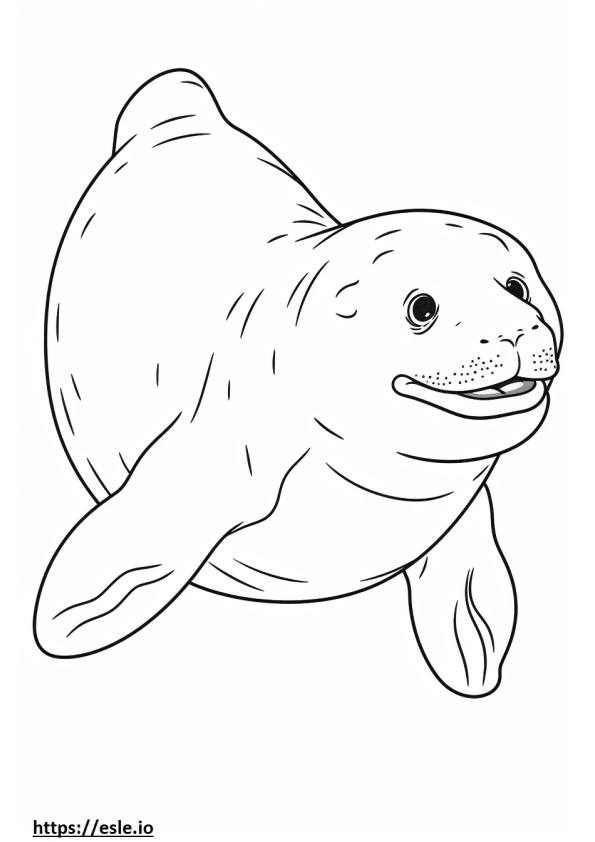 Coloriage Caricature de phoque léopard à imprimer