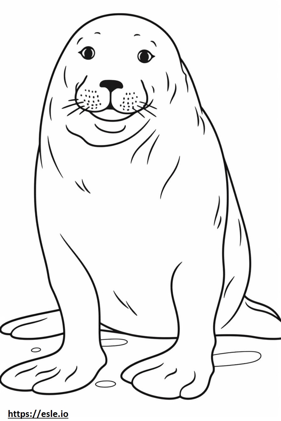 Leopard Seal cartoon coloring page