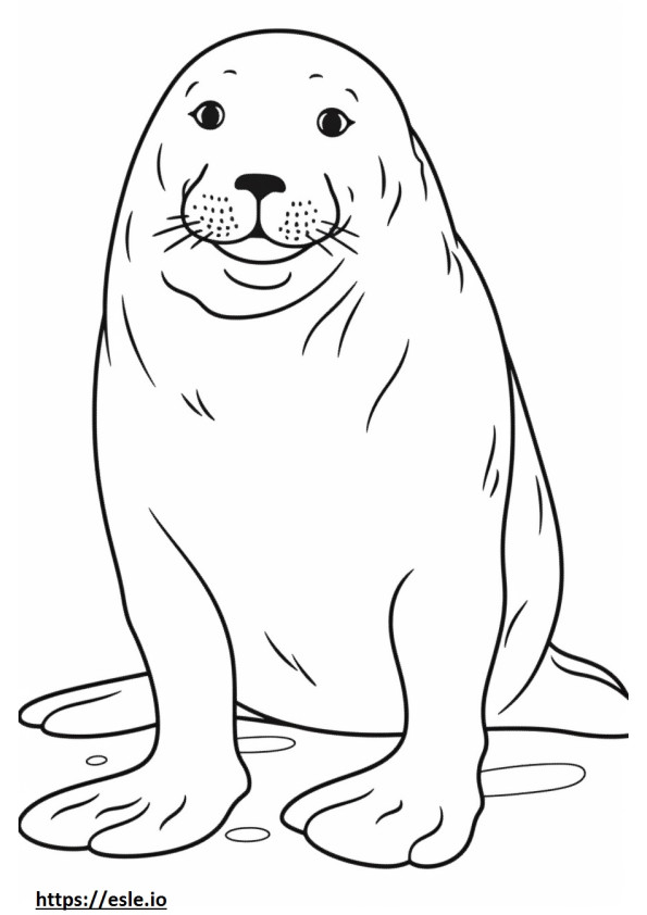 Kartun Anjing Laut Macan Tutul gambar mewarnai