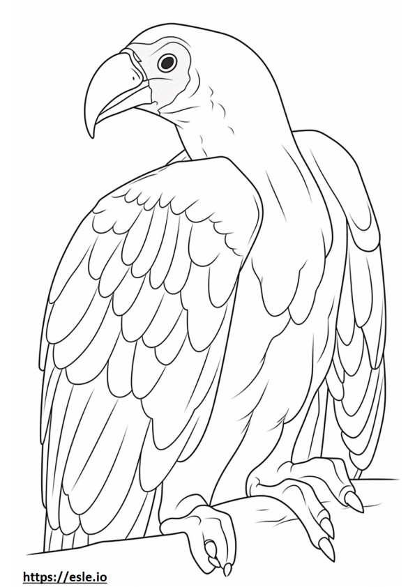 Lappet-faced Vulture Sleeping coloring page