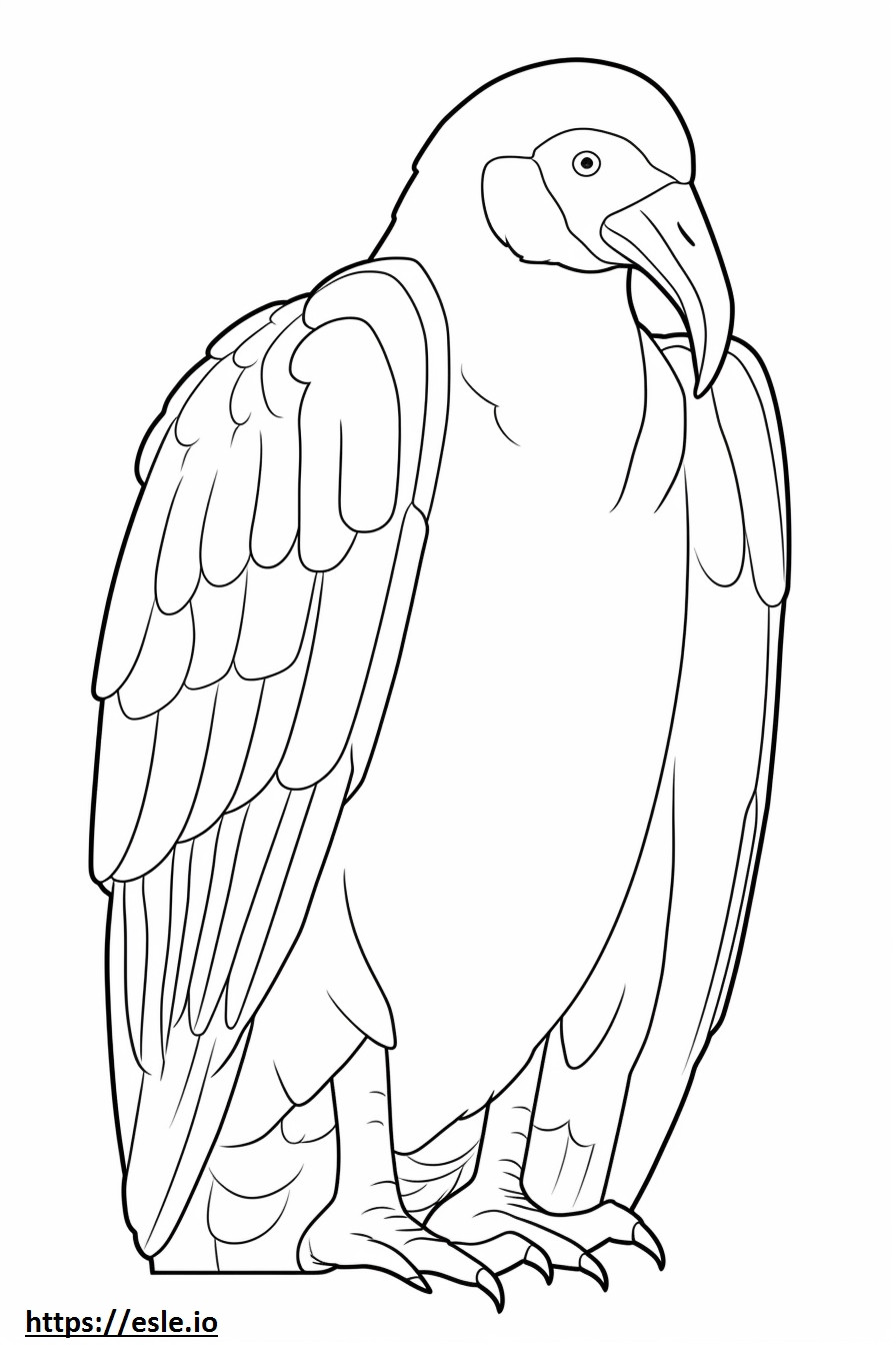 Avvoltoio dalla faccia di lappet che dorme da colorare