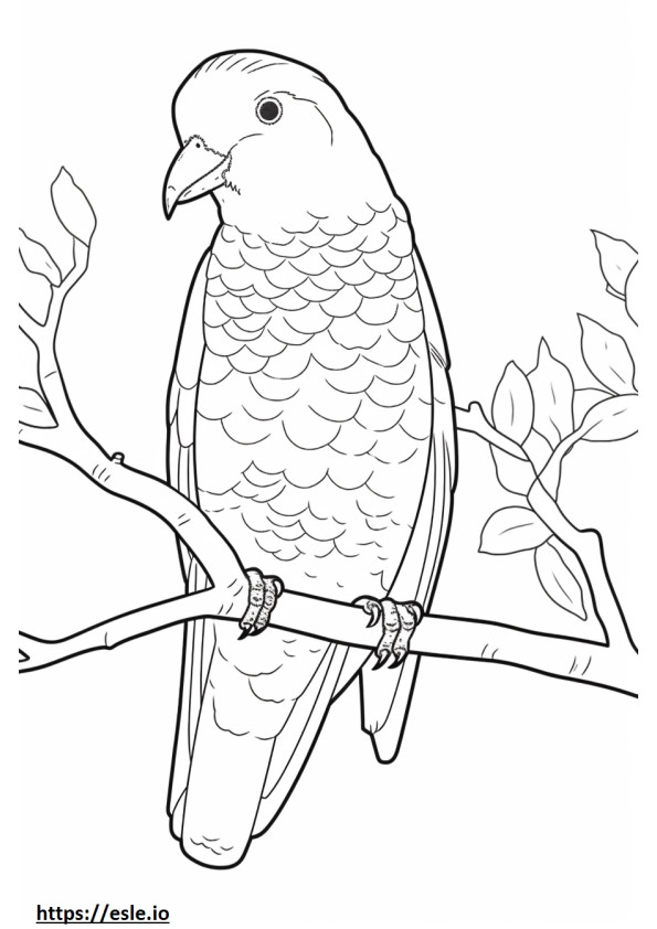 Red-Bellied Woodpecker Friendly coloring page