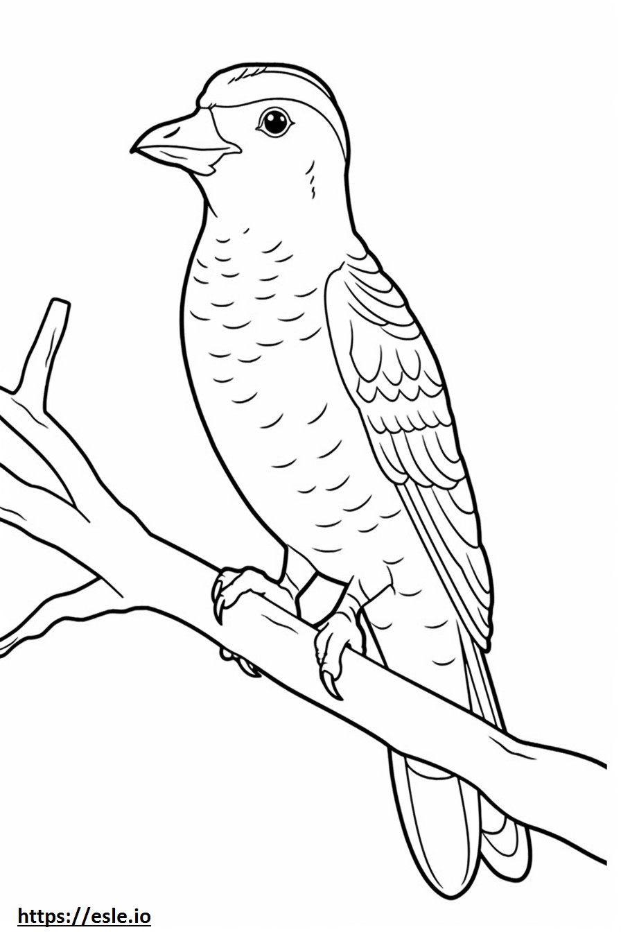 Red-Bellied Woodpecker Friendly coloring page