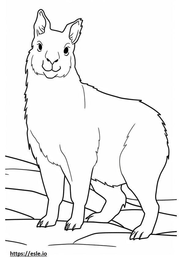 Patagonian Cavy Playing coloring page