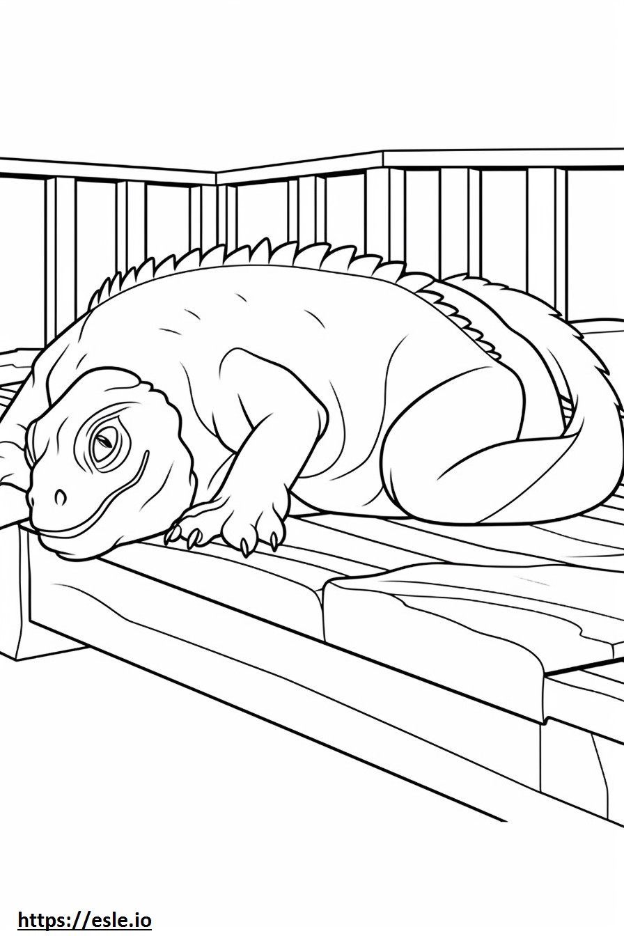Iguana Dormită de colorat