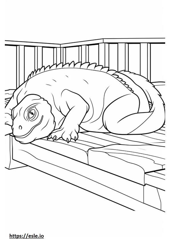 Iguana nukkuu värityskuva