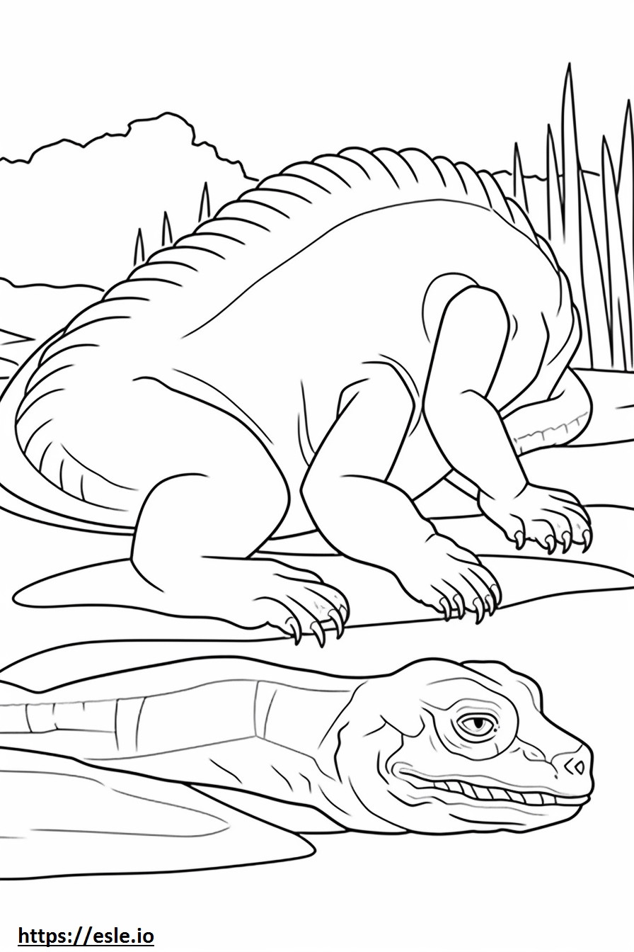 Iguana nukkuu värityskuva