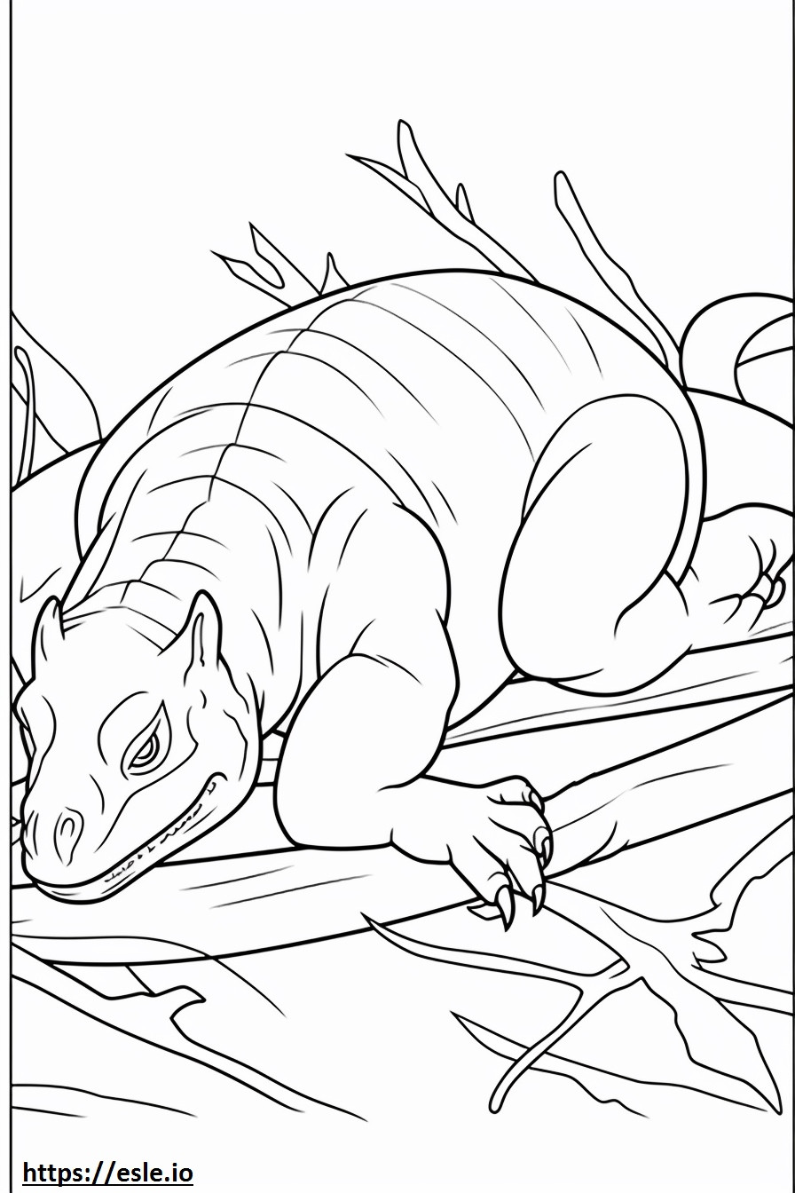 Iguana che dorme da colorare