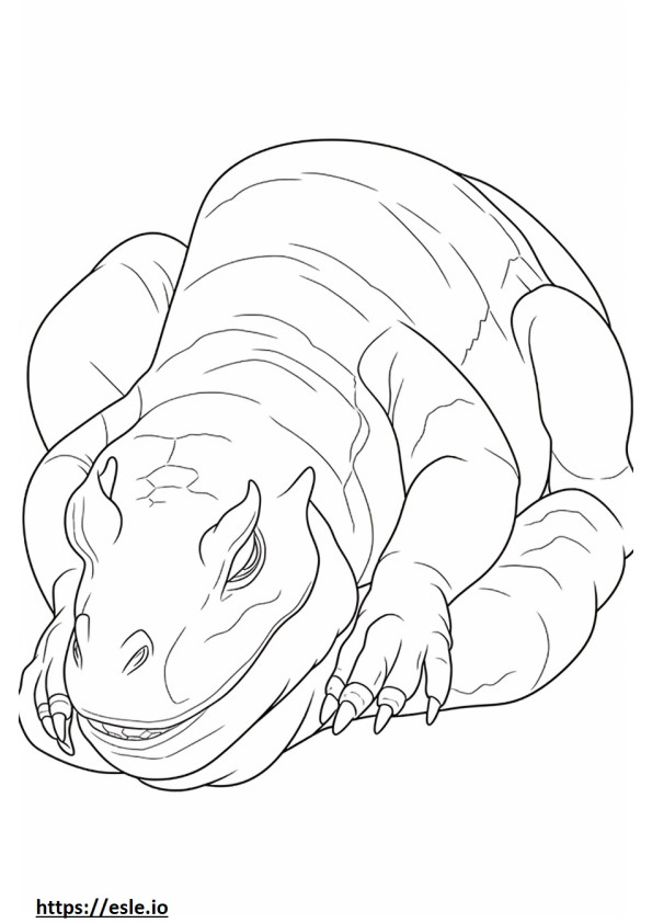 Iguana che dorme da colorare