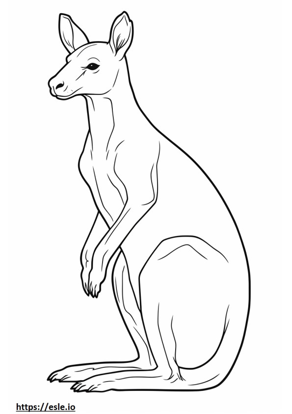 Kangaroo cute coloring page