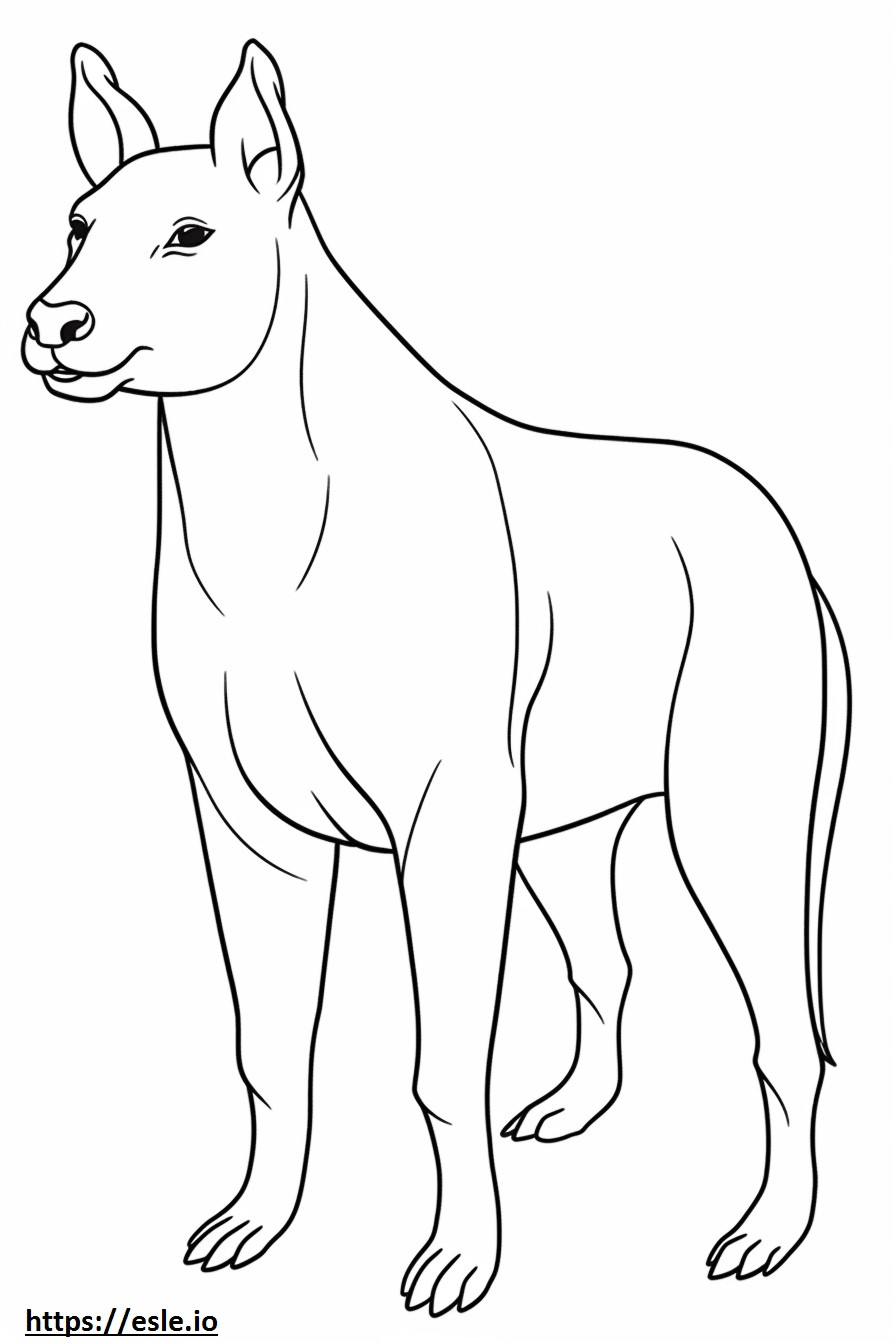 Pitsky full body coloring page