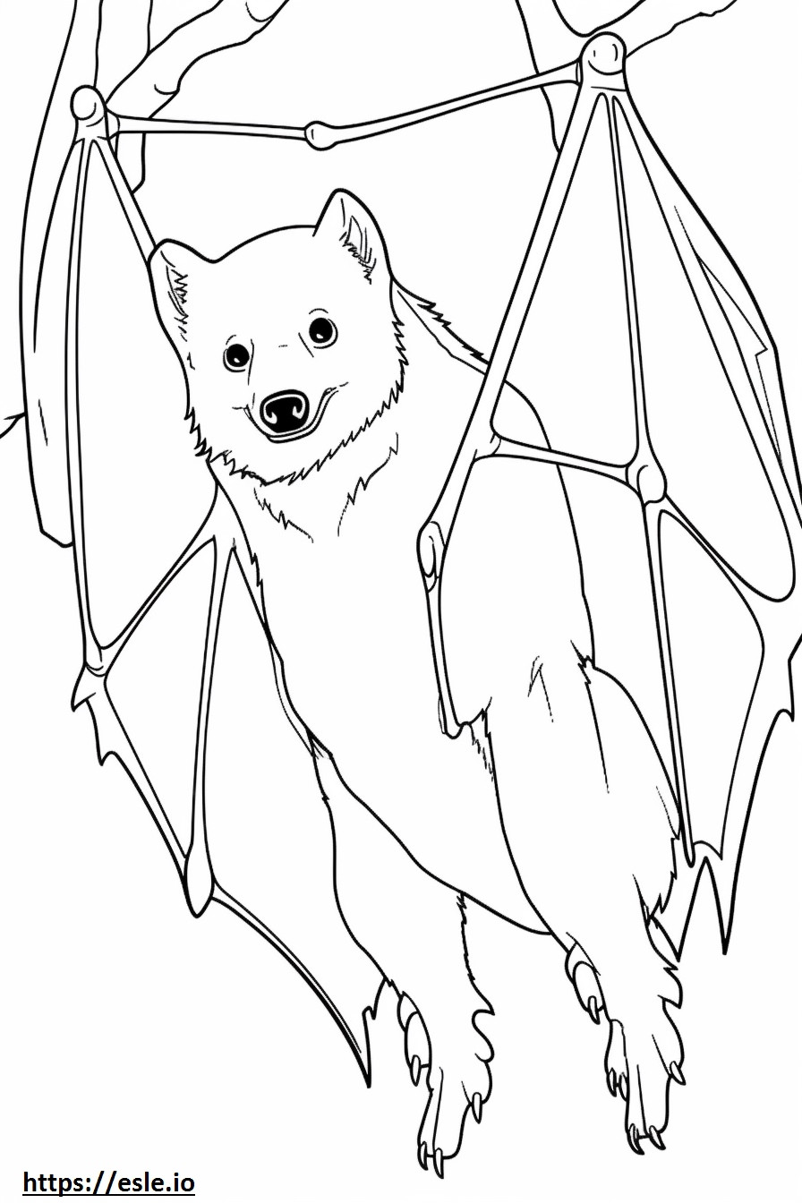 Desenho animado da Raposa Voadora de Coroa Dourada para colorir
