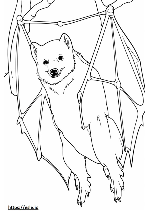Desenho animado da Raposa Voadora de Coroa Dourada para colorir