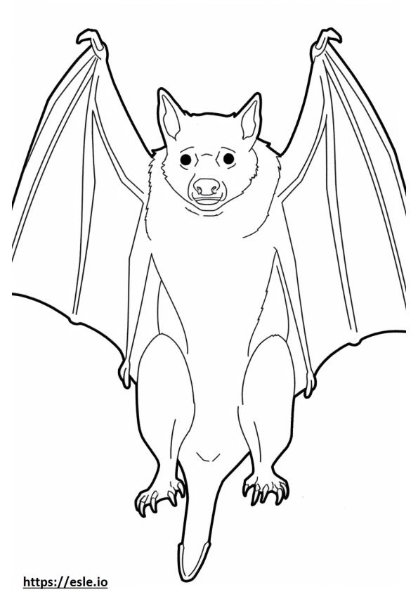 Kartun Flying Fox Mahkota Emas gambar mewarnai