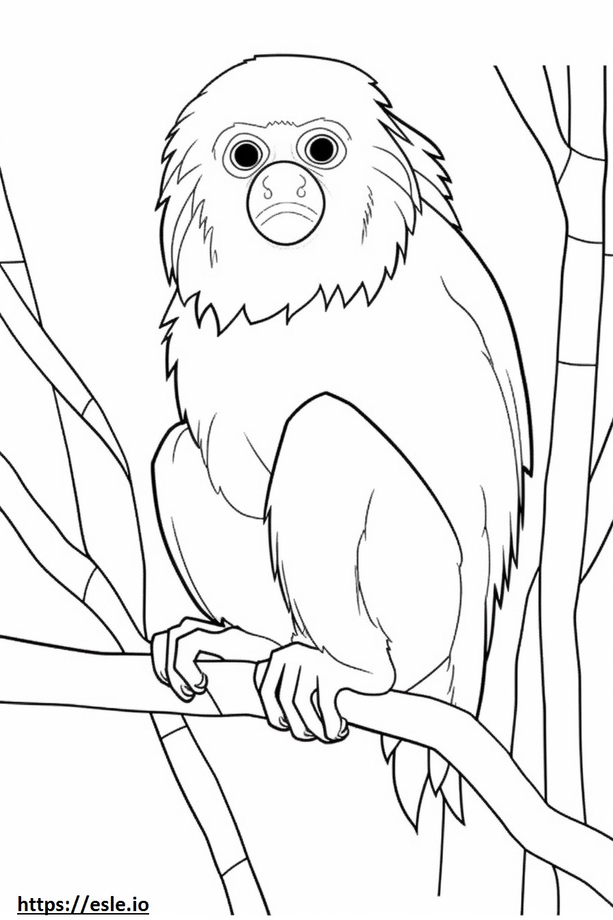 Red-handed Tamarin cute coloring page