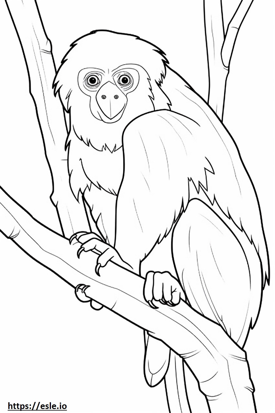 Red-handed Tamarin cute coloring page