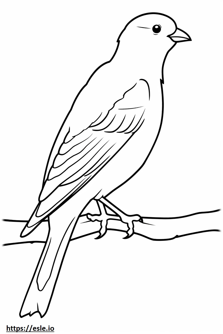 Sparrow Friendly coloring page