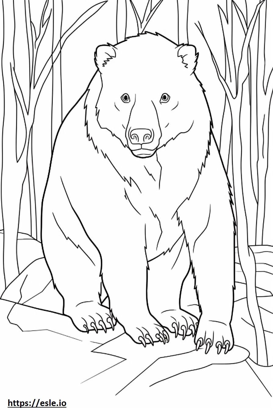 Wombat-vriendelijk kleurplaat kleurplaat