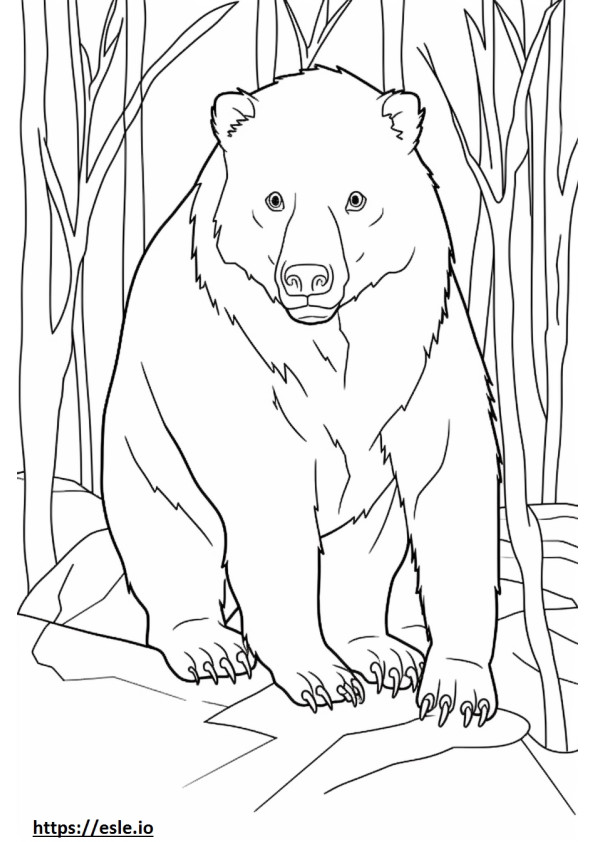 Wombat Friendly coloring page