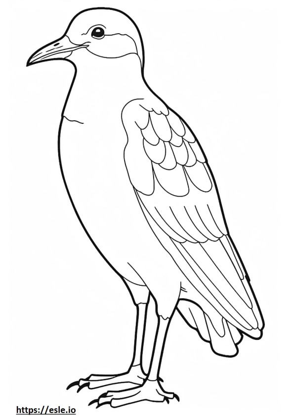Pheasant-tailed Jacana face coloring page