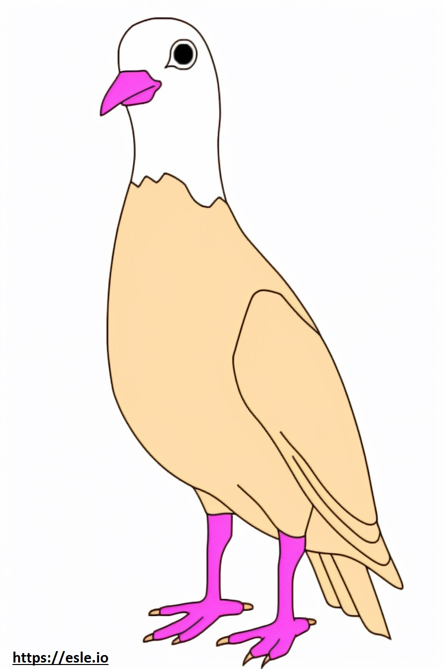 Jacana-gezicht met fazantstaart kleurplaat kleurplaat