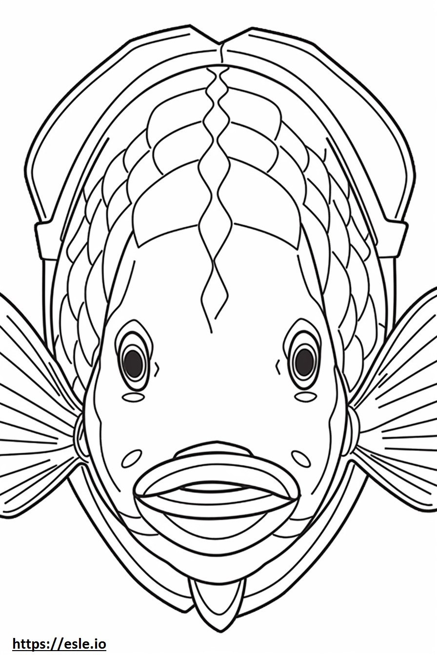 Fața de pește-arcaș de colorat