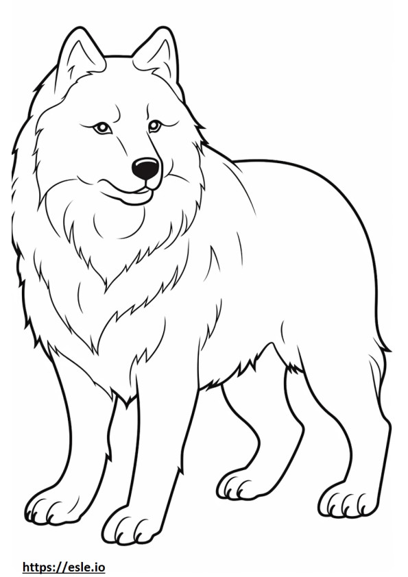 Samoyed happy coloring page