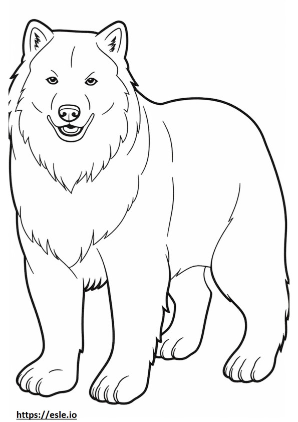 Samoyed happy coloring page