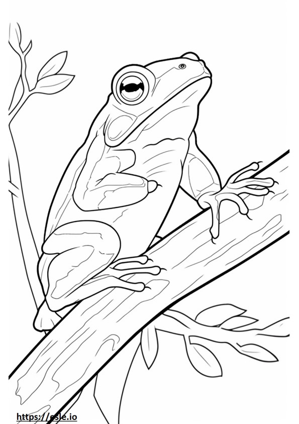 Szara żaba drzewna jest urocza kolorowanka
