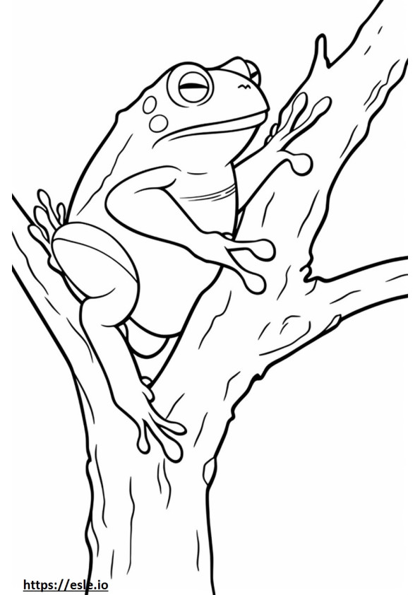 Szara żaba drzewna jest urocza kolorowanka