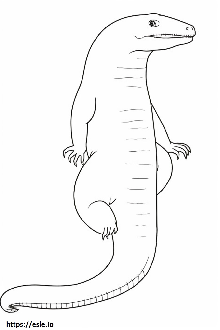 Northern Alligator Lizard full body coloring page