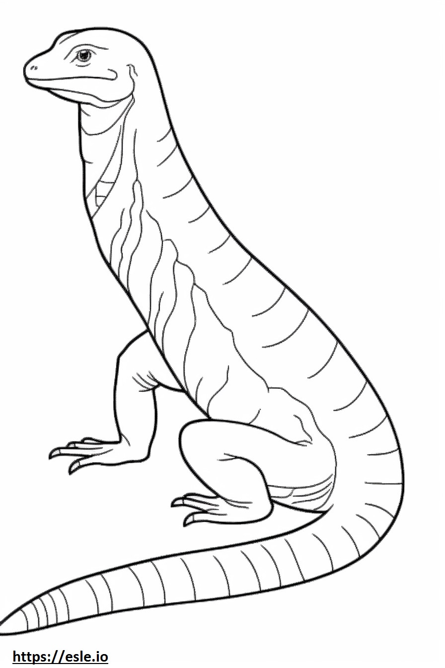 Northern Alligator Lizard koko vartalo värityskuva