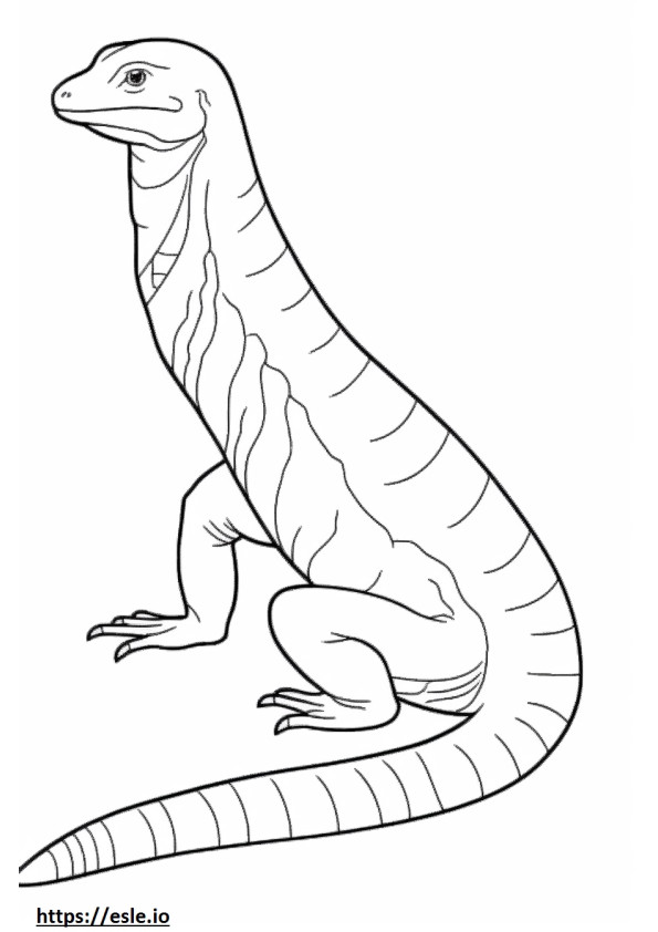 Șopârlă Aligator de Nord, tot corpul de colorat