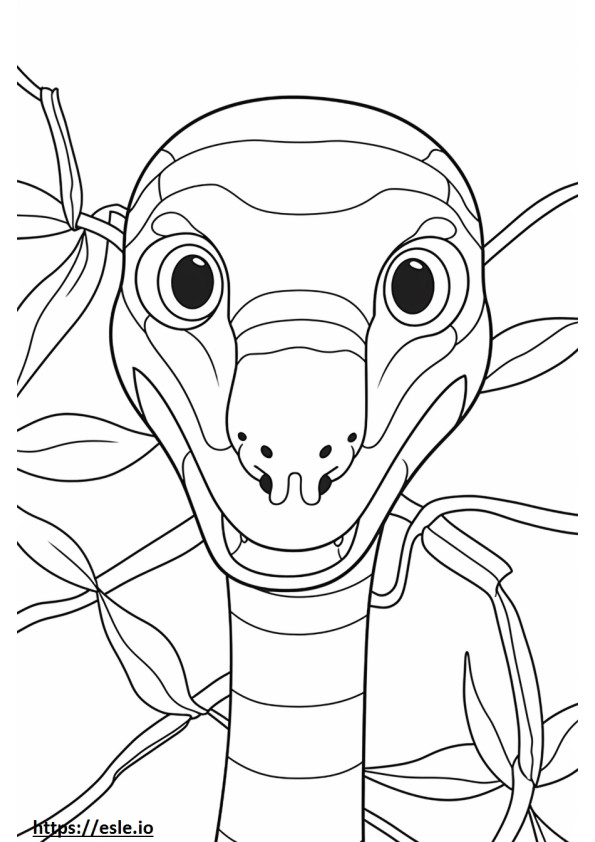 Asian Vine Snake face coloring page