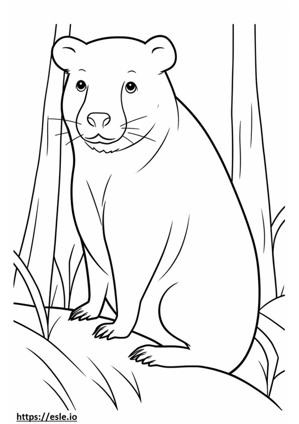 Drever cute coloring page