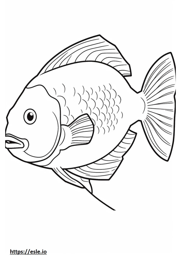 Archerfish teljes test szinező
