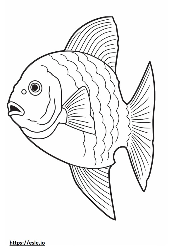 Corpo inteiro de peixe-arqueiro para colorir