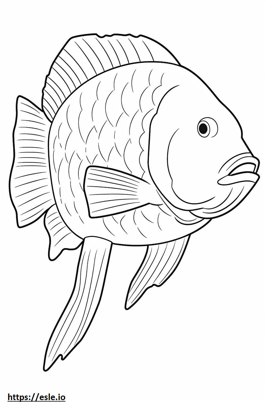 Archerfish full body coloring page